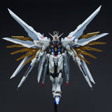 MHZW 1/100 MG Backpack Expansion Set Parts for IN ERA Thunderbolt / Glory / Mighty Strike Freedom / MG MGEX Strike Freedom