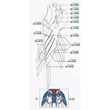 20250722 XUEYAN XY / SNOW FLAME MG 15  Wing Zero EW Ver.Ka Fluorescence Water slide decal