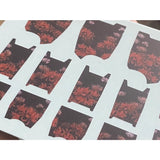 20250722 XUEYAN XY / SNOW FLAME MG 88-1 Shin Musha Fluorescence Water slide decal