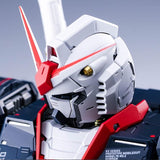 GUGU P020 PG 1/60 RX-78-2 ALPHATAURI Water Slide Decal GUGUPG004