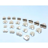 FENGYU FY 1/12 FAG Frame arms girl Face chest shoes addon parts