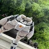CA MG TALLGEESE 1 2 3 F C1-22 METAL replacement spare parts
